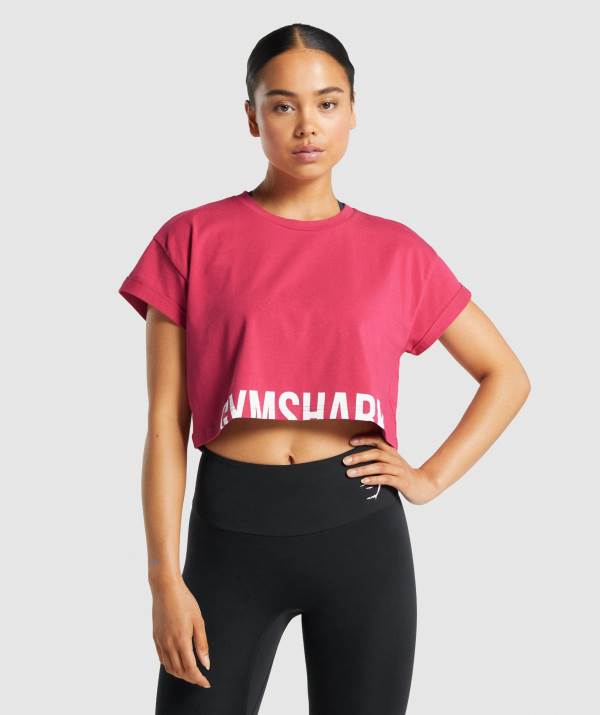 Damske Crop Top Gymshark Fraction Ruzove | FL2947180